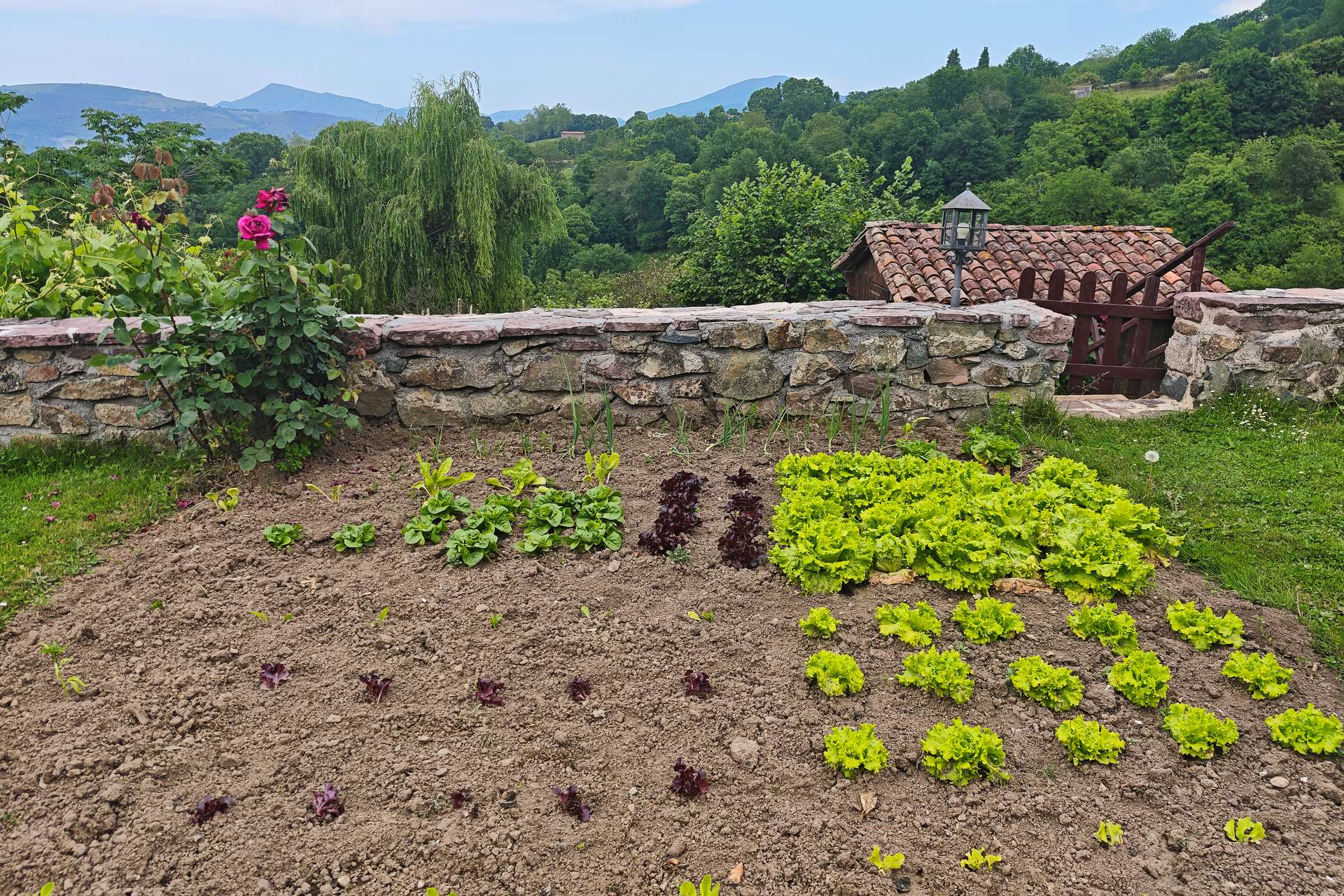 casaruralenbaztan_jardin110