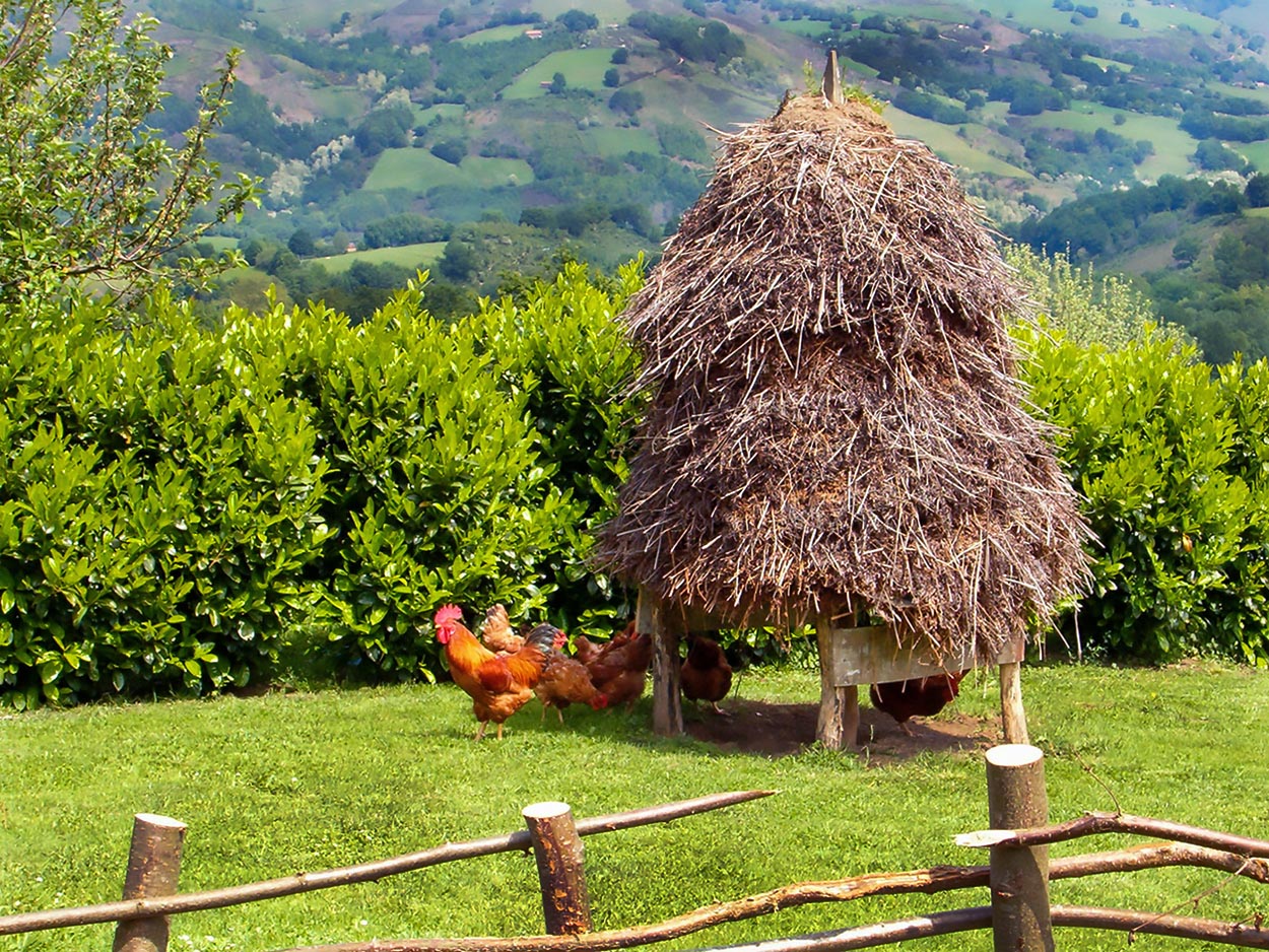 casaruralenbaztan_jardin120