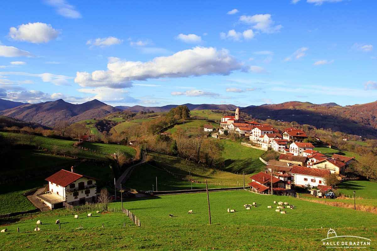 00-Ziga-vista-tipica-II-ovejas.jpg