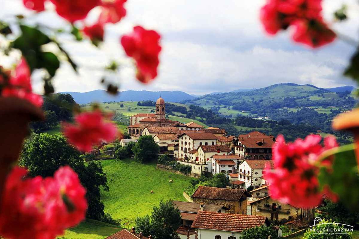 Ziga-entre-flores.jpg
