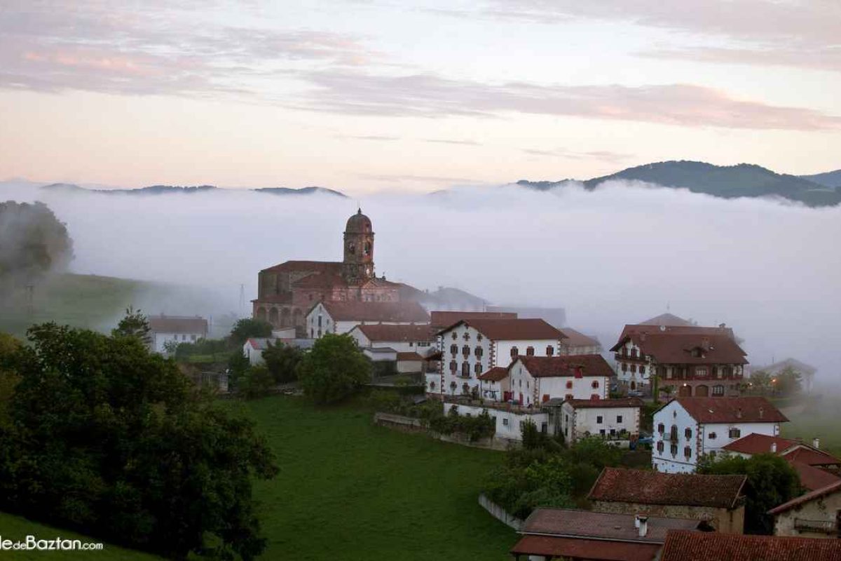 Ziga-niebla.jpg