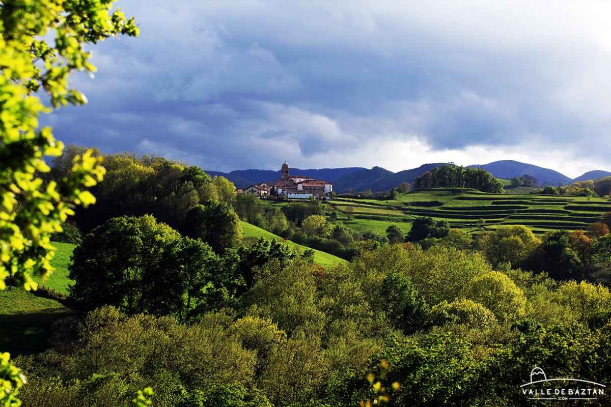 Ziga-primavera.jpg